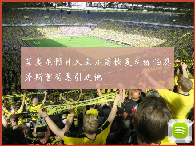 莱奥尼预计未来几周恢复合练伯恩茅斯曾有意引进他